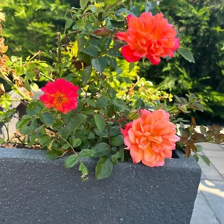 Csurgo Vendeghaz Villa